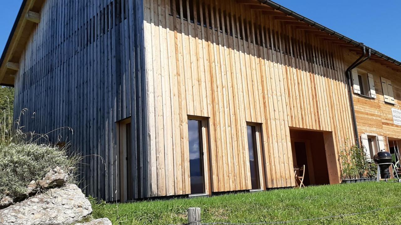 Ferienwohnung Schoenenbuehl Hittisau Exterior foto